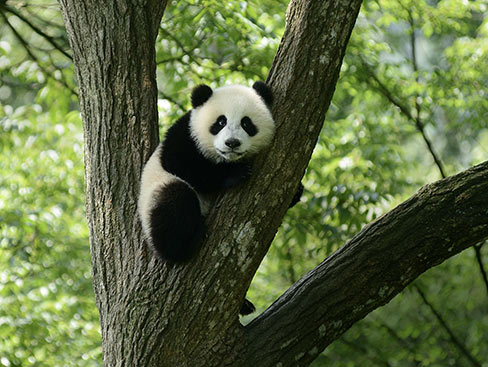 汇丰气候解决方案伙伴计划 汇丰气候解决方案伙伴计划