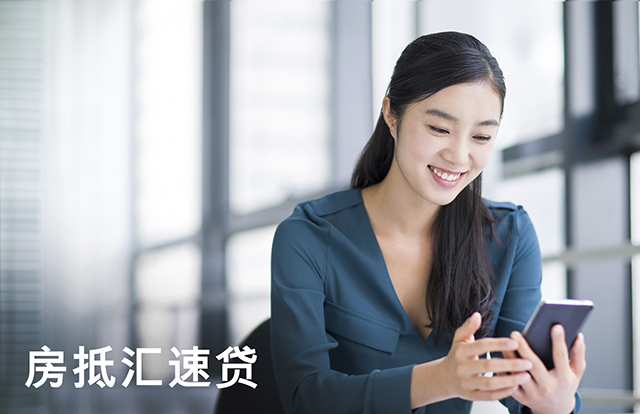 Lending on housing collaterals Property Backed Loan Express